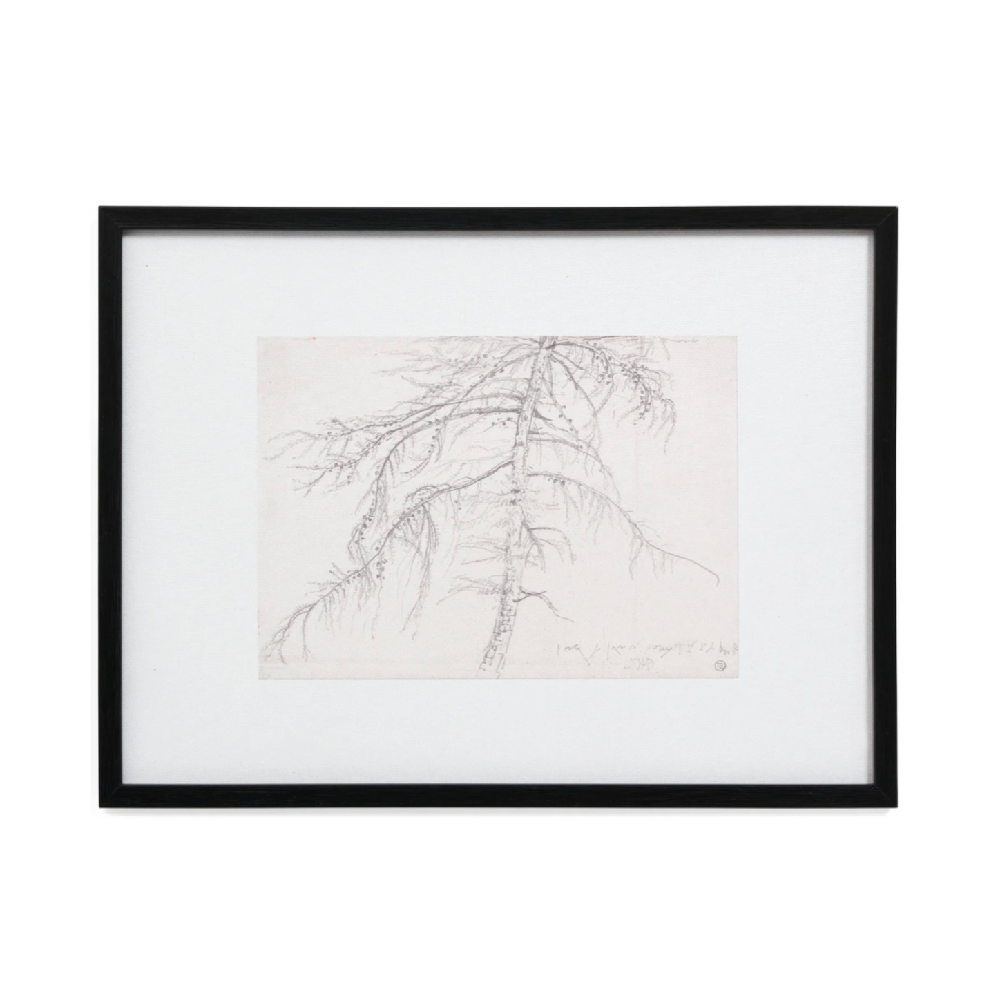 Tree Sketch