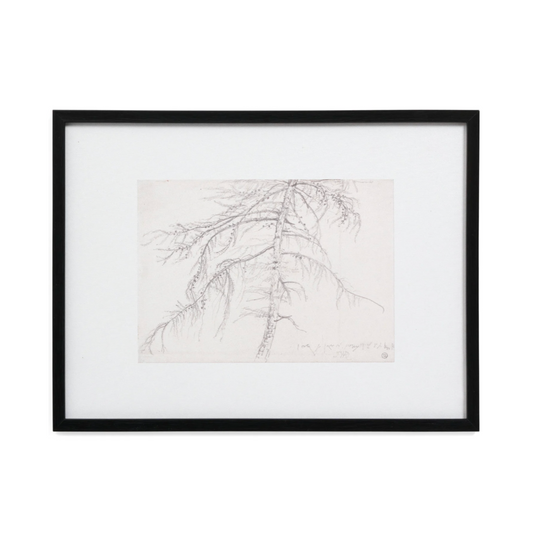 Tree Sketch