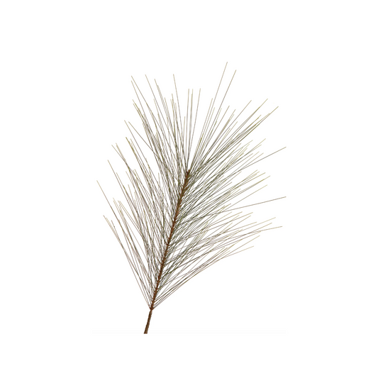 Long Leaf Pine Spray