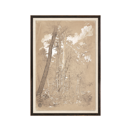 Chestnut Trees, Niagara River C. 1858 Small