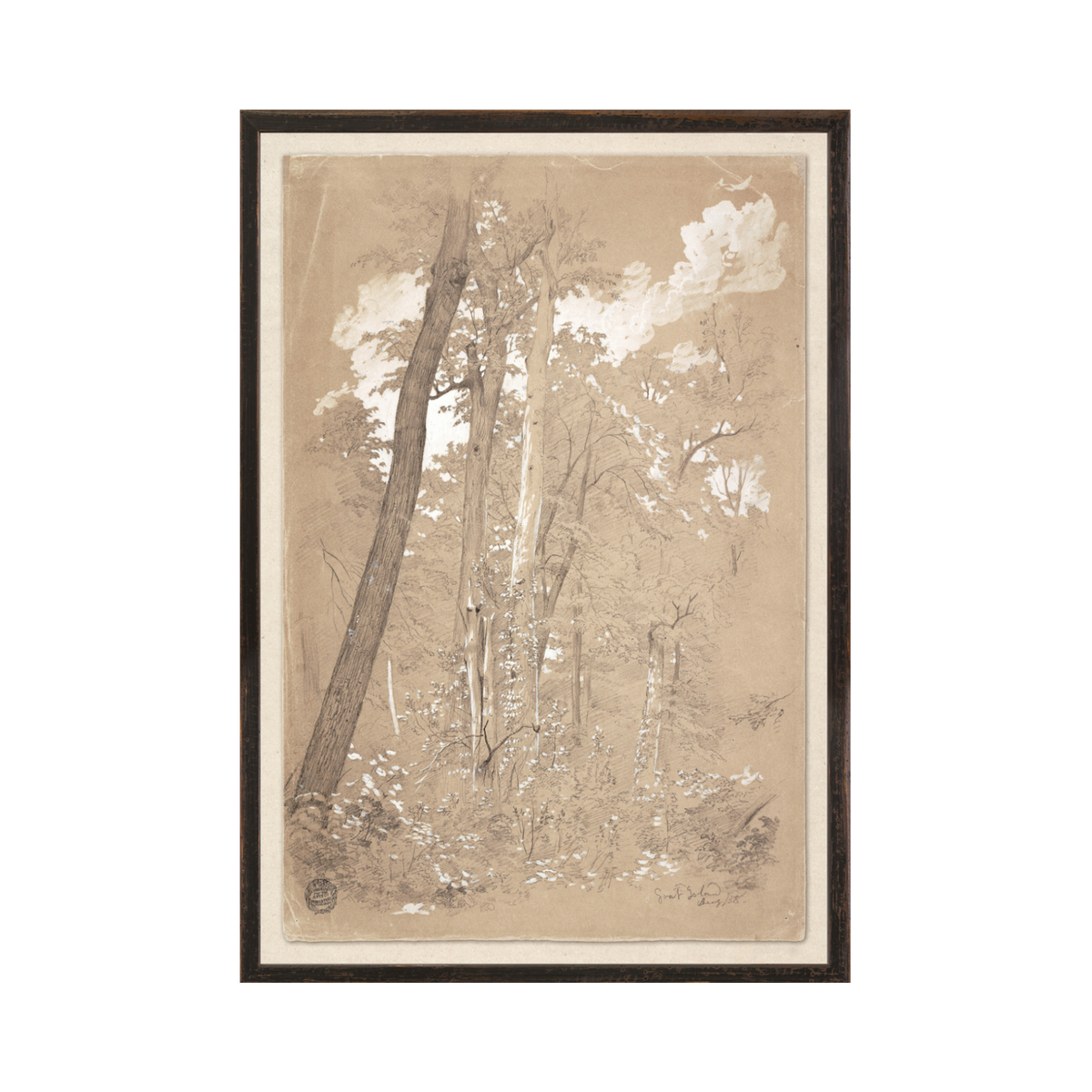 Chestnut Trees, Niagara River C. 1858 Small