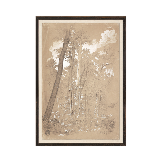 Chestnut Trees, Niagara River C. 1858 Small