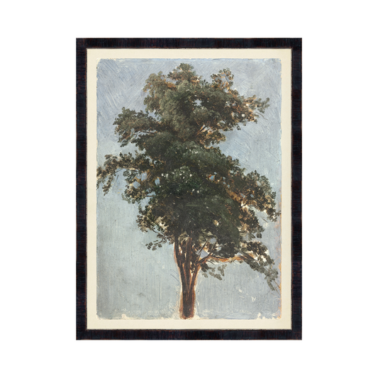 Tree Study, 1855 Large