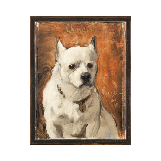 Chien Chinois, 1868 Small