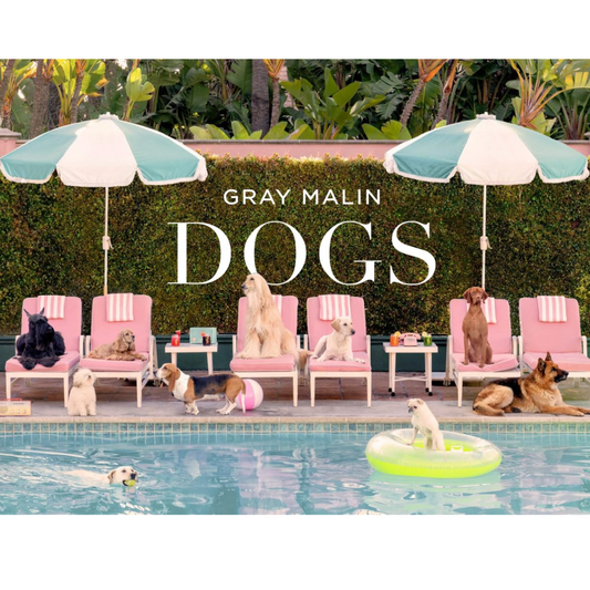 Gray Malin: Dogs: Photographs