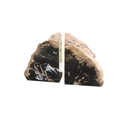 Petrified Wood Bookends