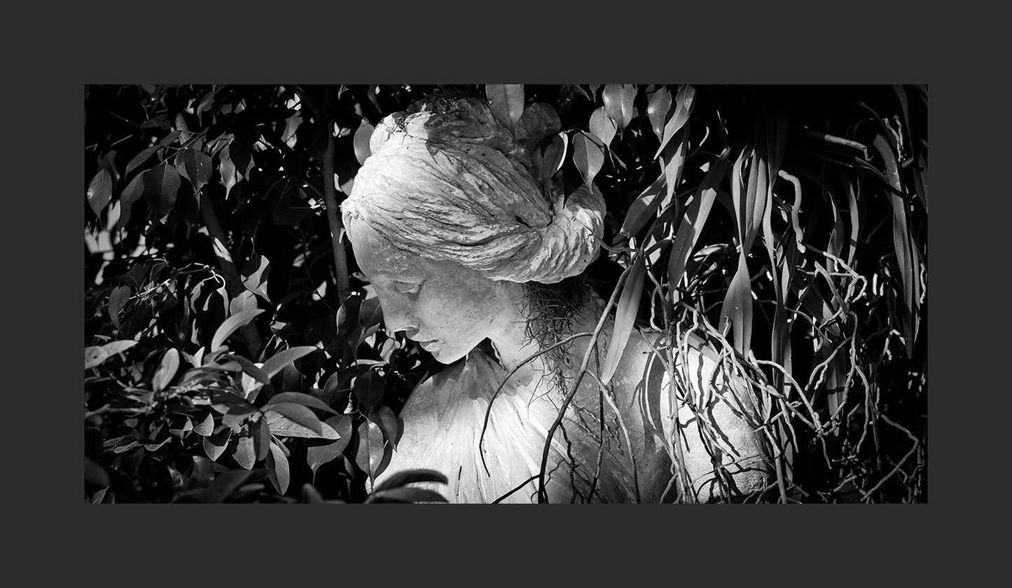 Garden Lady-Jack Clark Photography