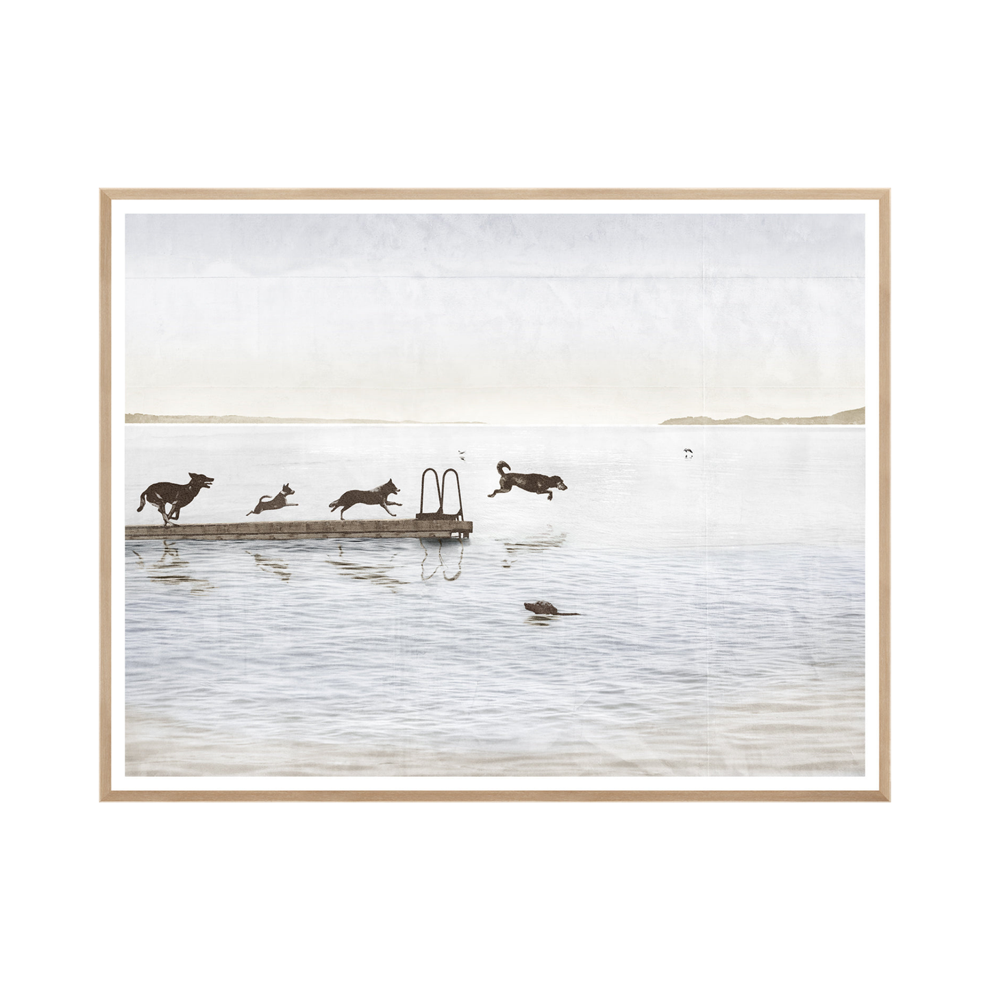 Dogs Day At The Cottage Weathered Photograph Framed Art