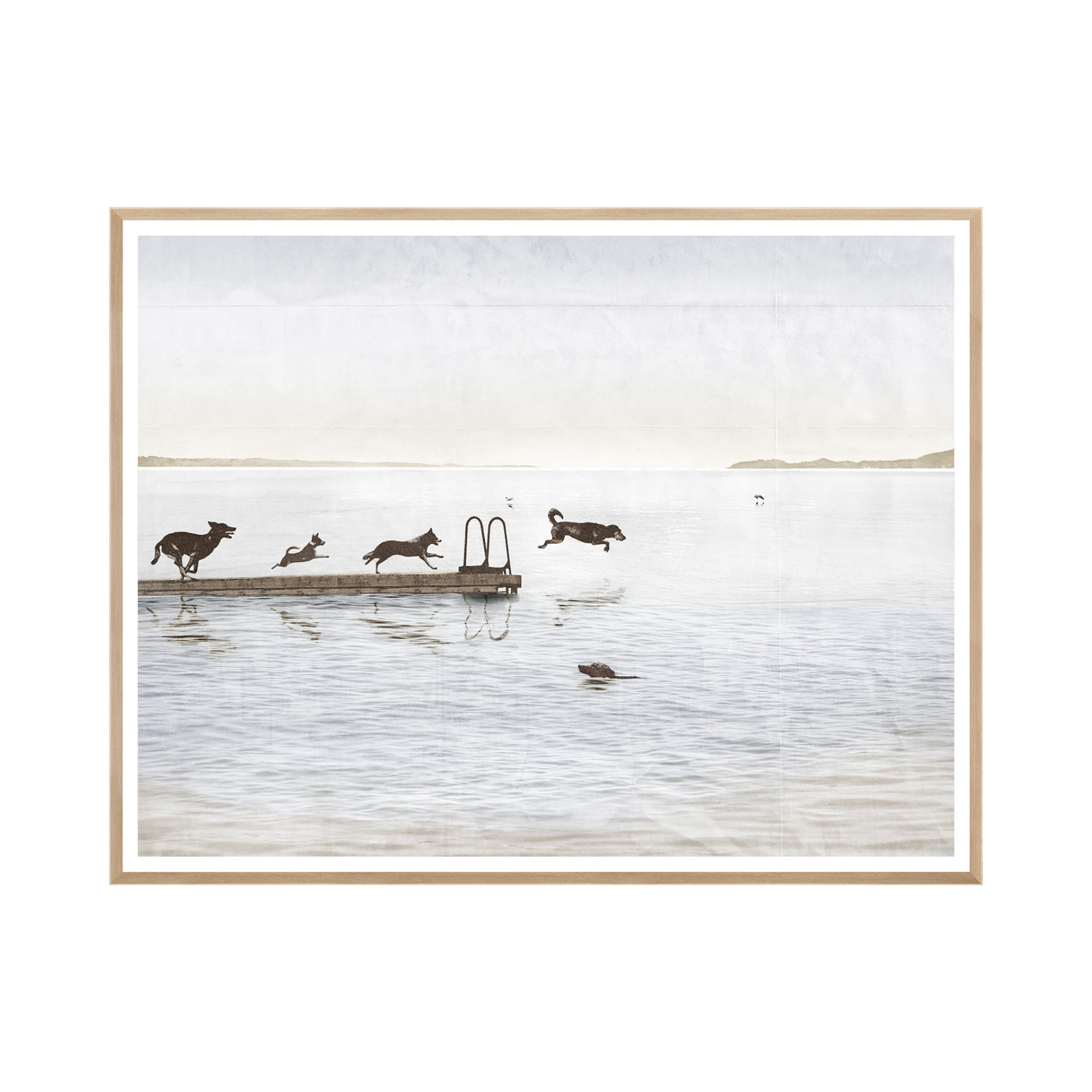 Dogs Day At The Cottage Weathered Photograph Framed Art
