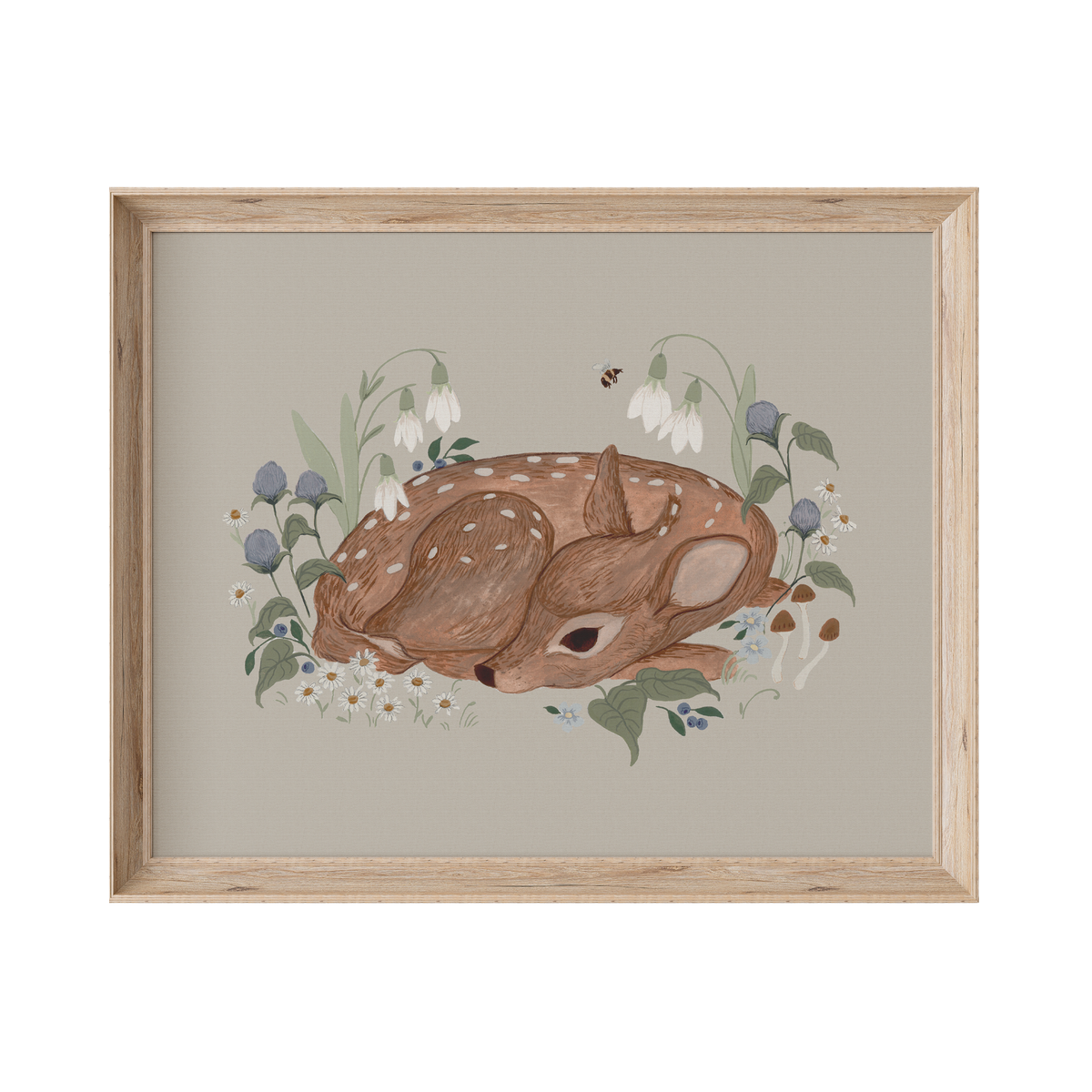 Little Fawn