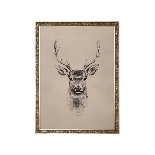 Wild Sketch