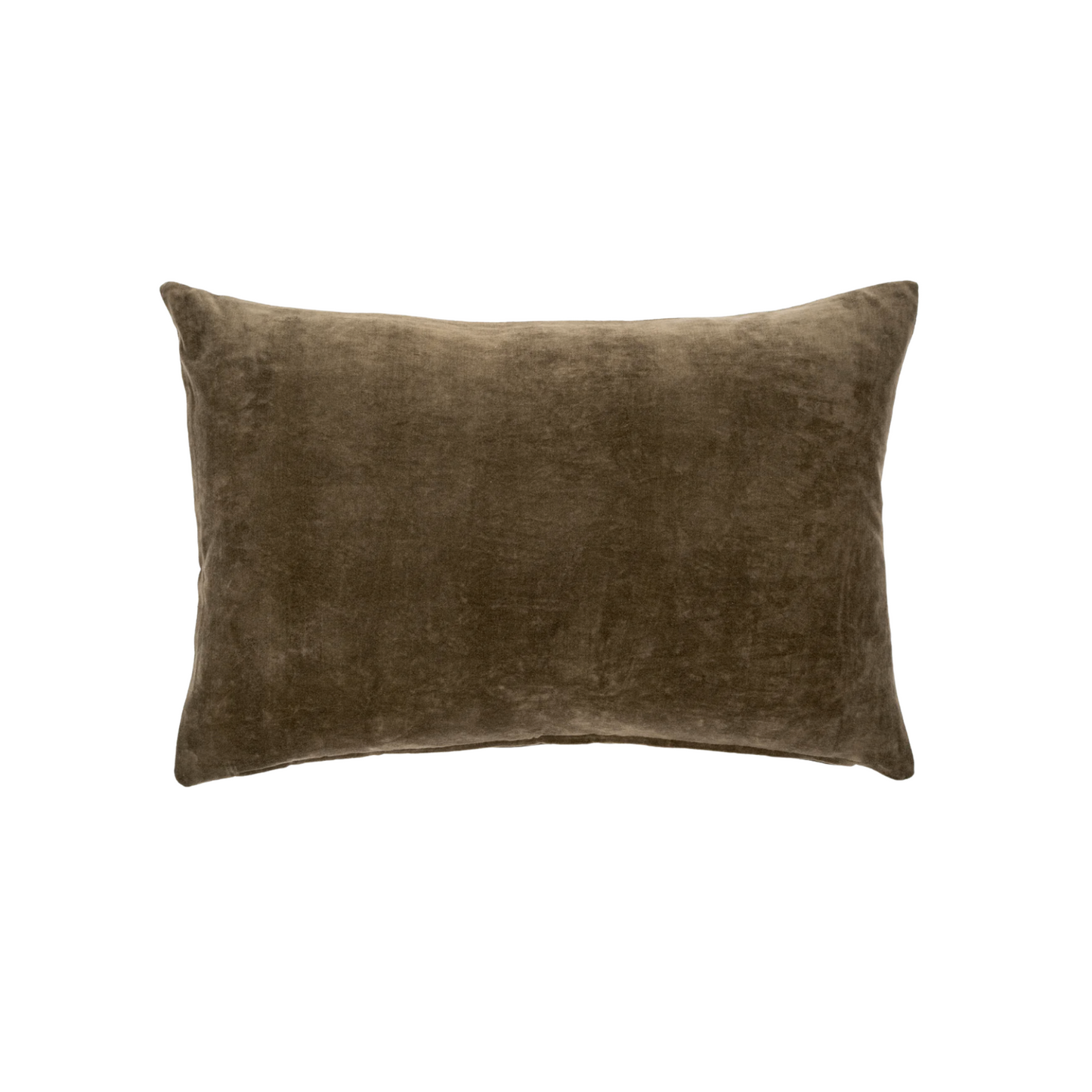 Vera Velvet Pillow 16x24🇨🇦