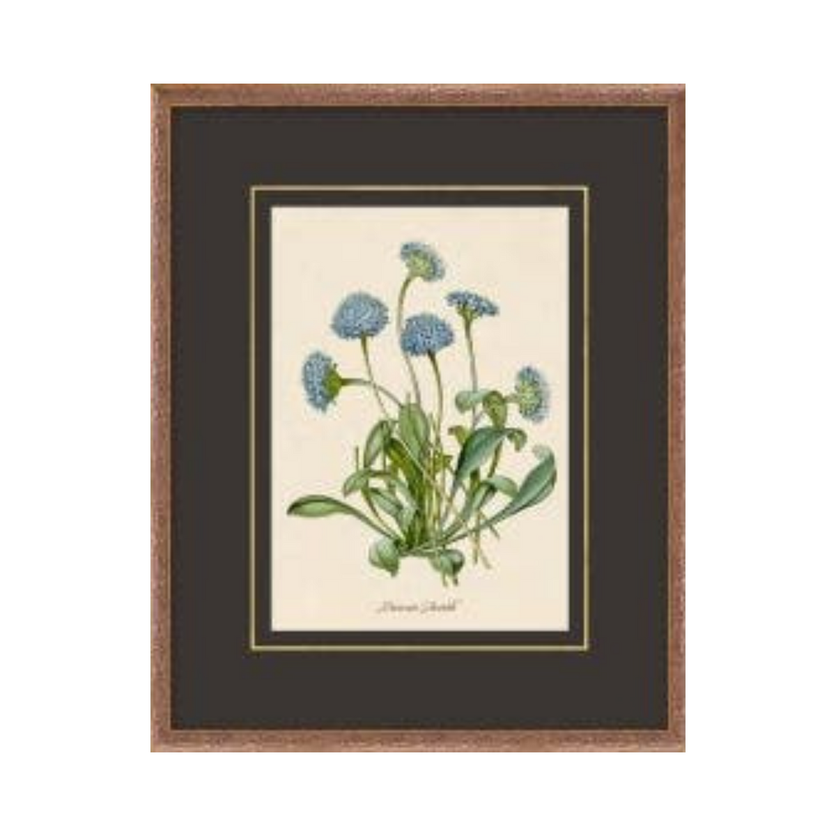 Figures of Flora 3