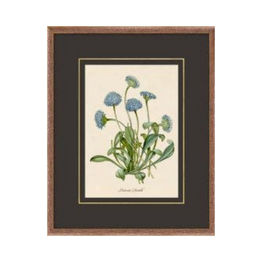 Figures of Flora 3