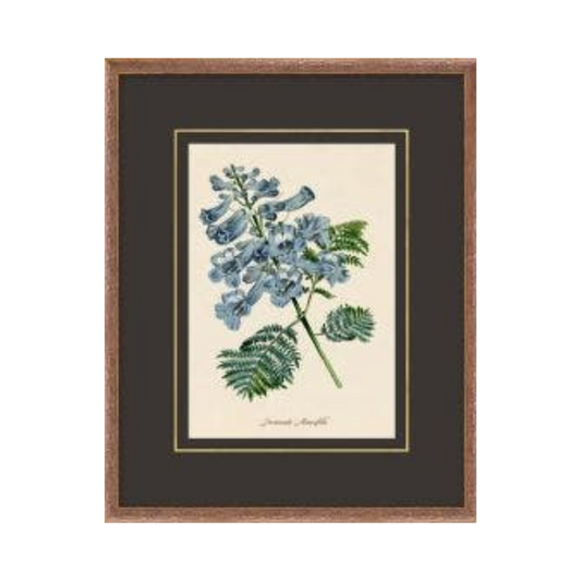 Figures of Flora 4