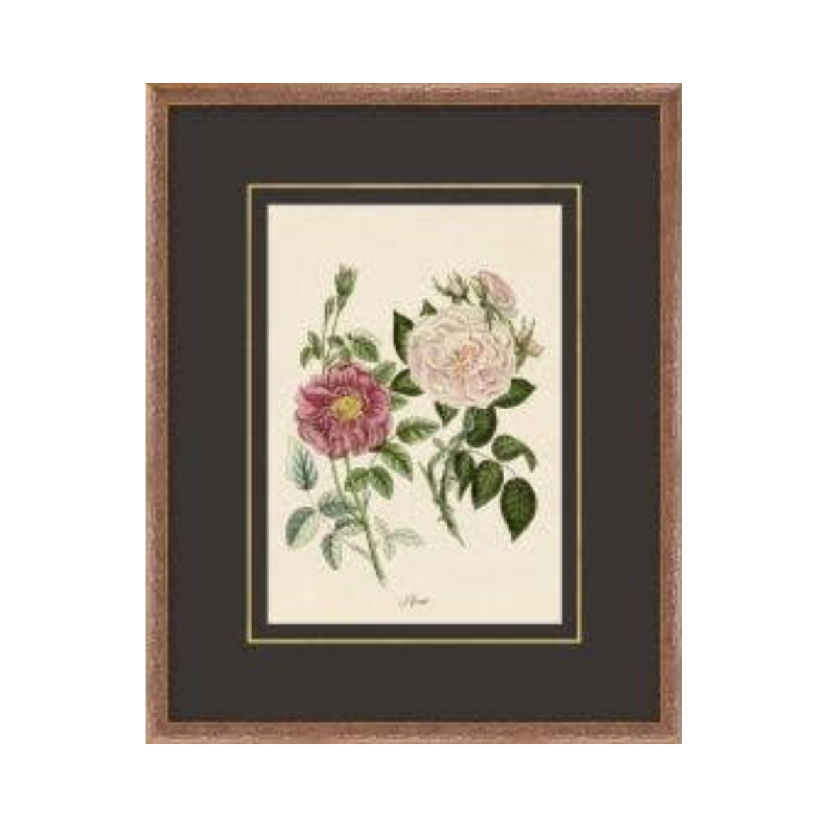 Figures of Flora 6