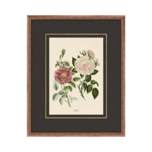 Figures of Flora 6