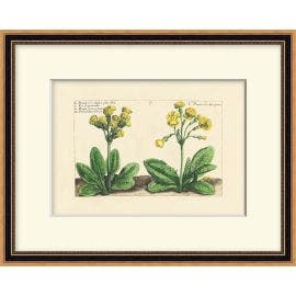 Heritage Blooms 2
