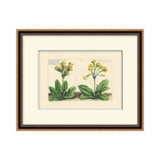 Heritage Blooms 2