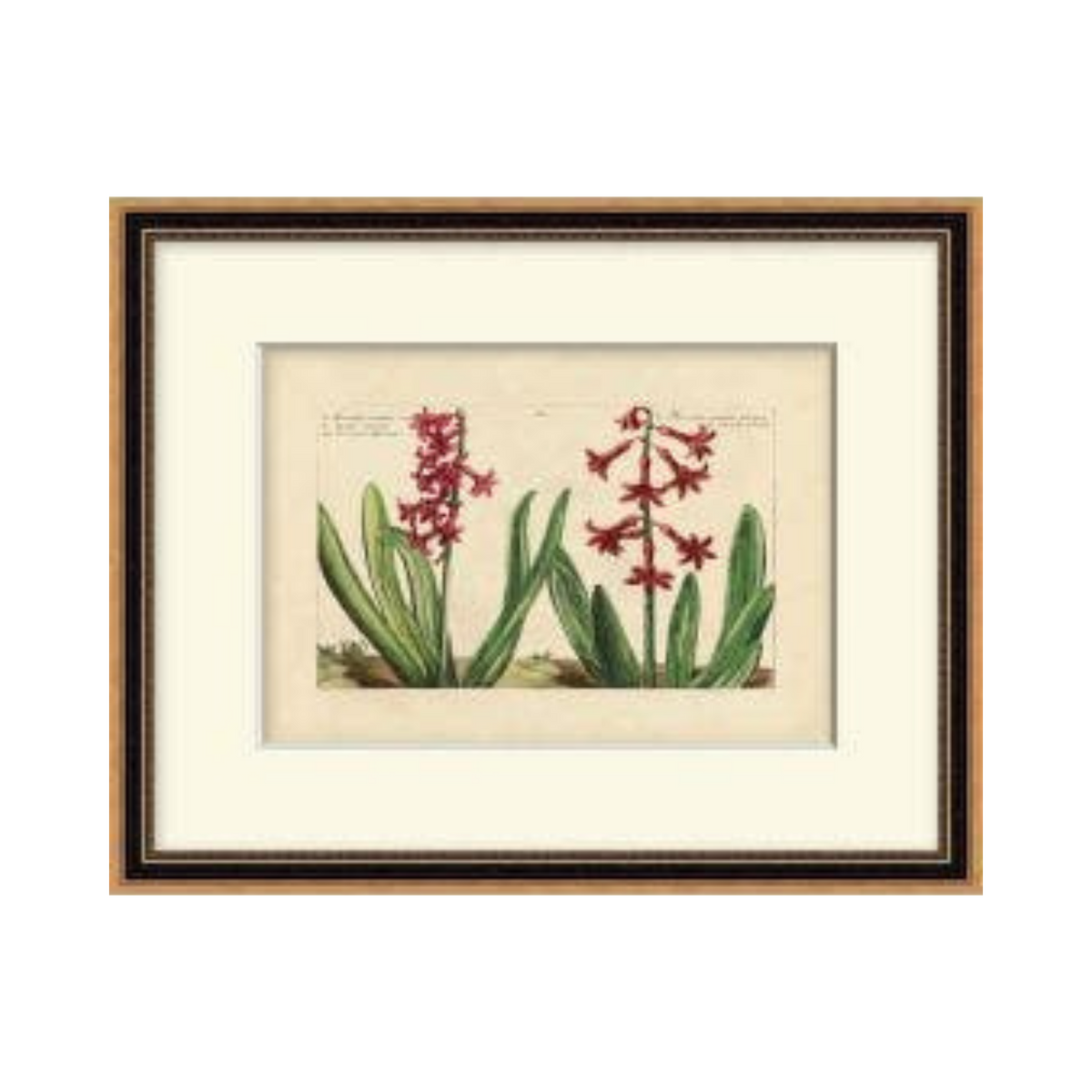 Heritage Blooms 3