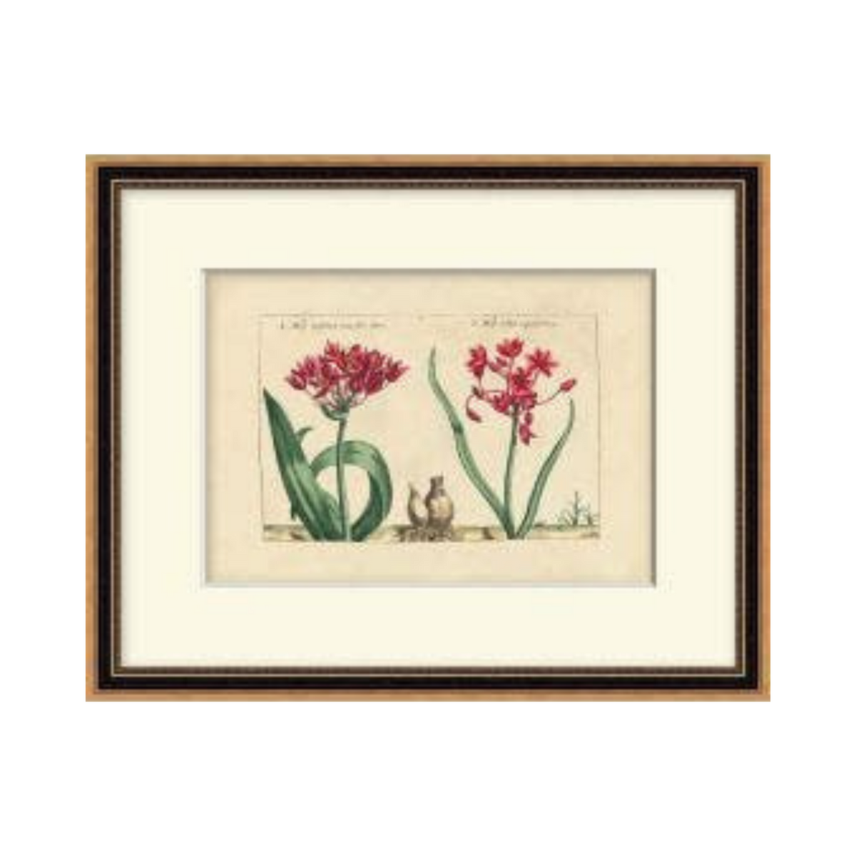 Heritage Blooms 4