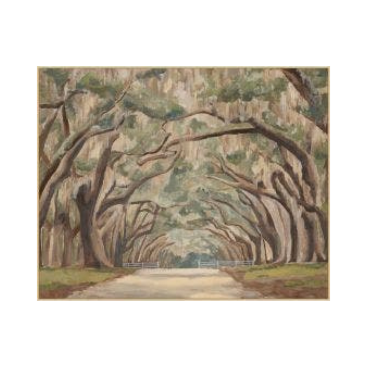 Under the Spanish Moss