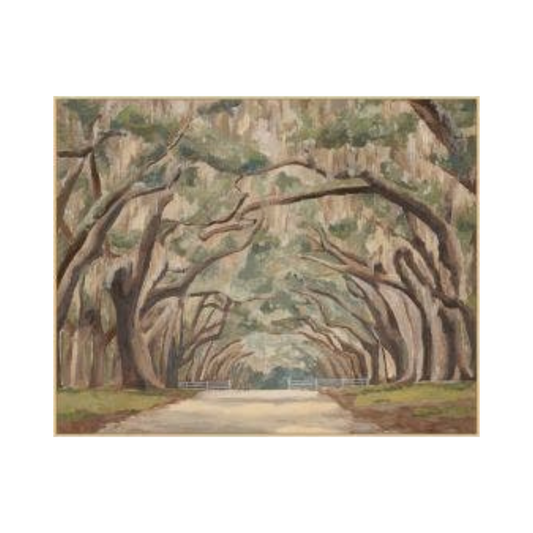 Under the Spanish Moss
