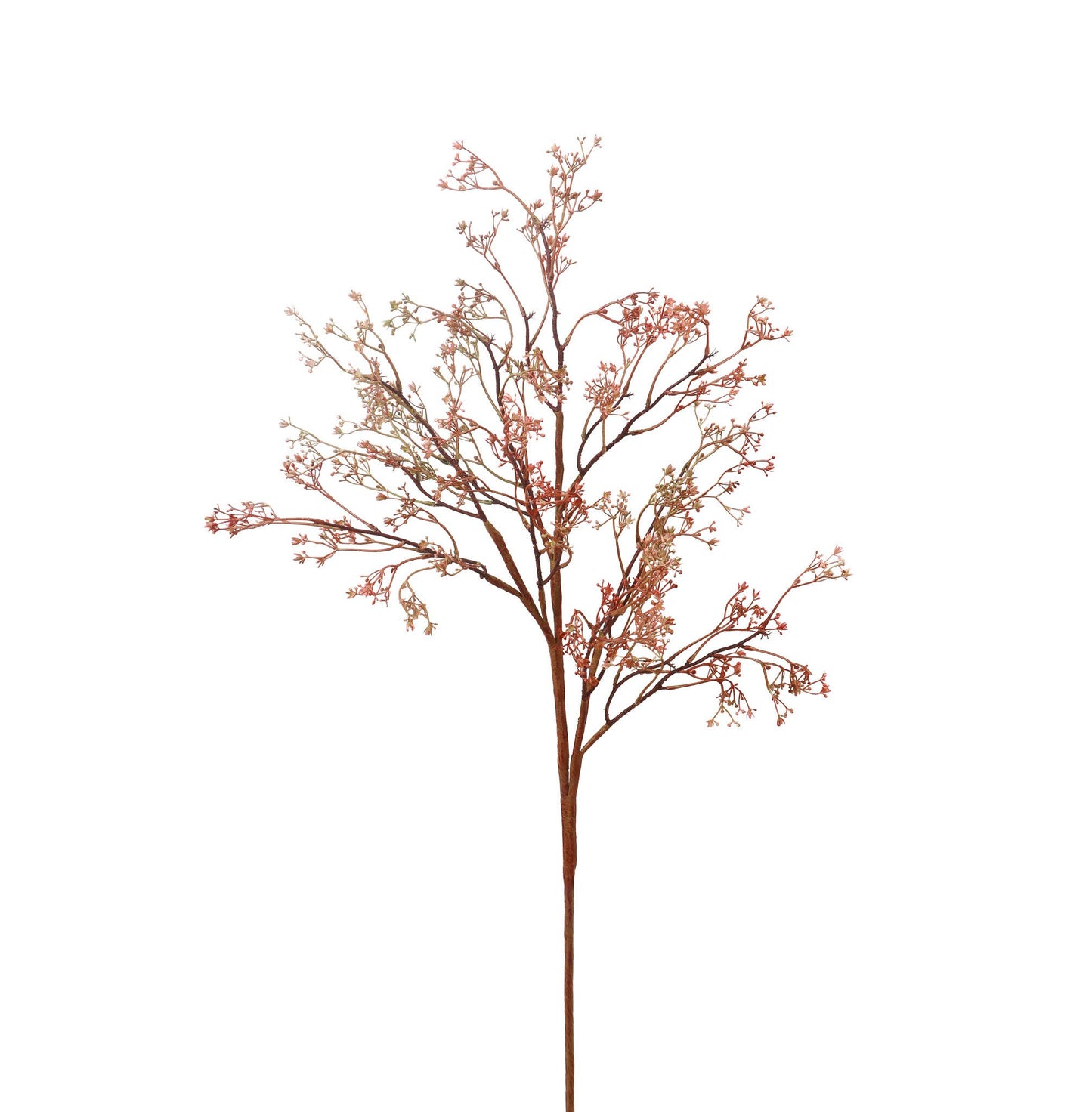 Rosa Caspia Stem - 35 Inch