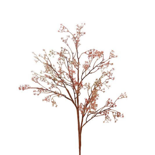 Rosa Caspia Stem - 35 Inch