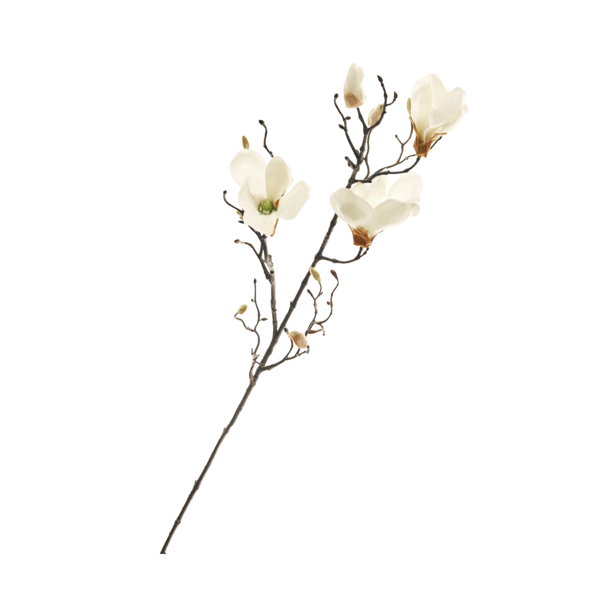Spray Magnolia White