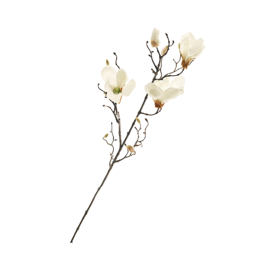 Spray Magnolia White