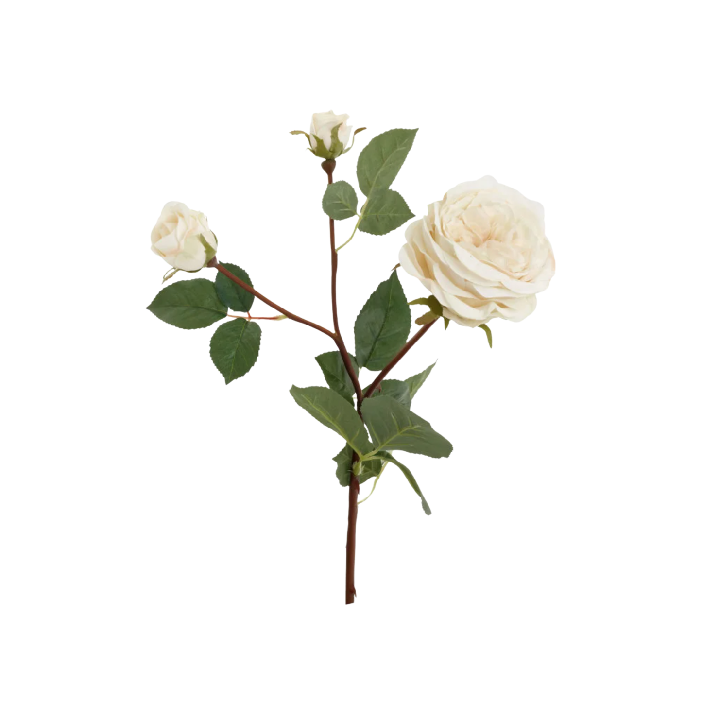 Spray Rose White 23"H
