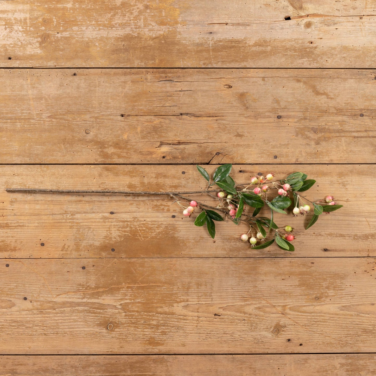 32" PINK BERRY SPRAY