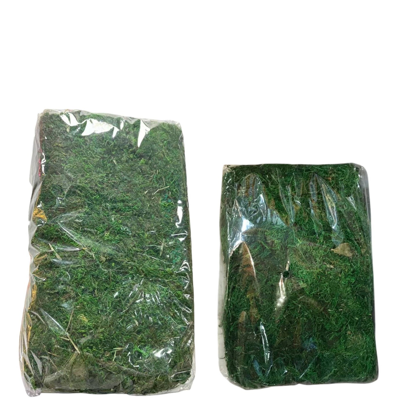10oz or 1lb Bulk Pack-Naturally Preserved Green Moss