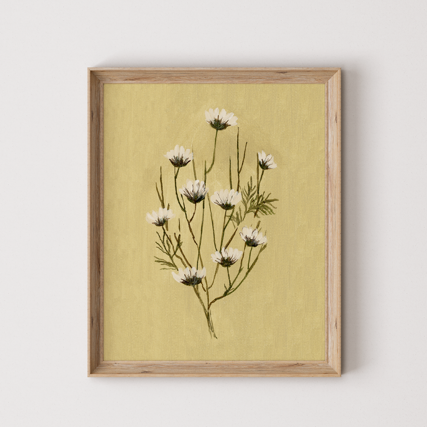 Daisies - reproduction
