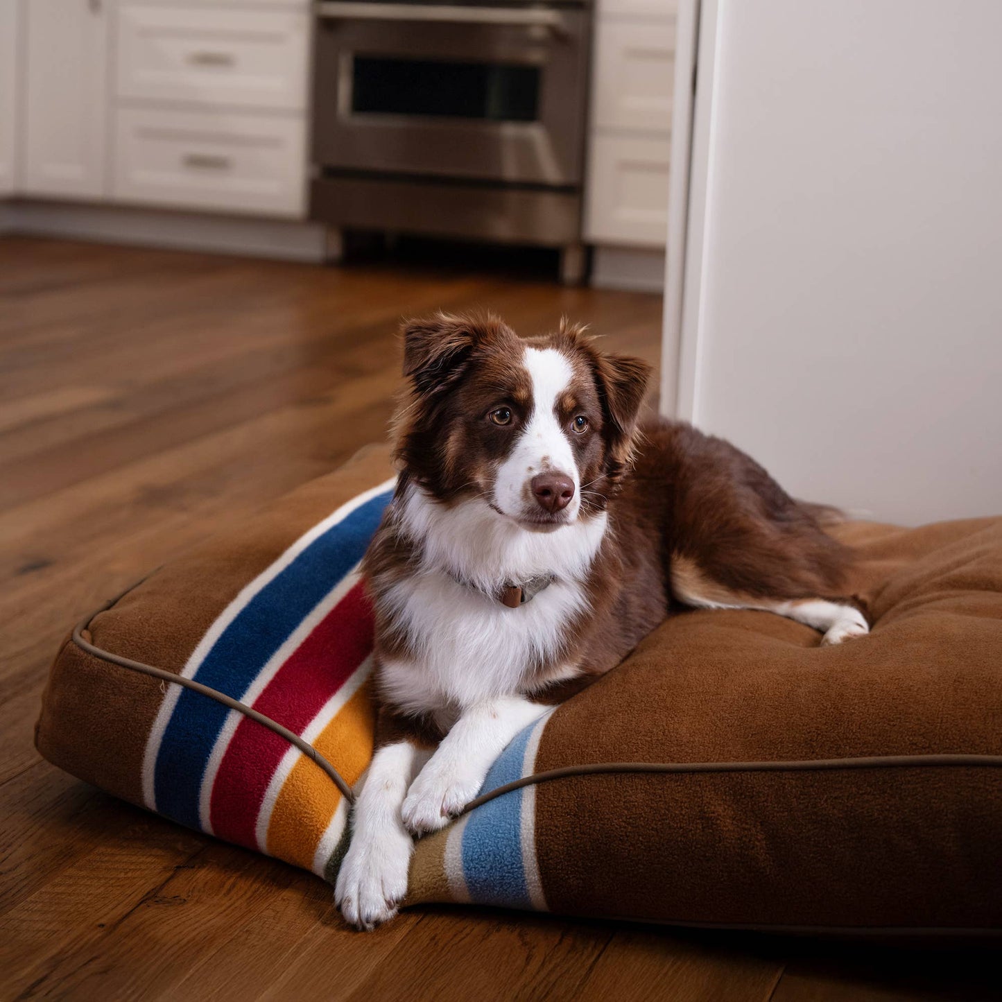 Pendleton Pet National Park Rectangular Pet Napper Dog Bed