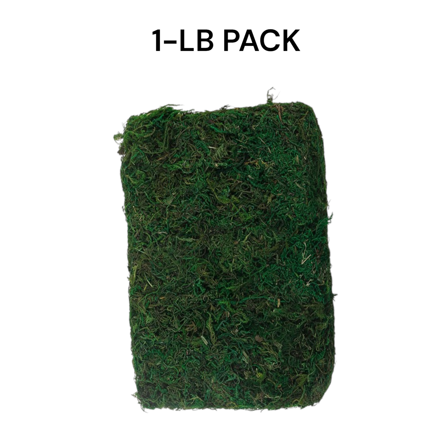 10oz or 1lb Bulk Pack-Naturally Preserved Green Moss