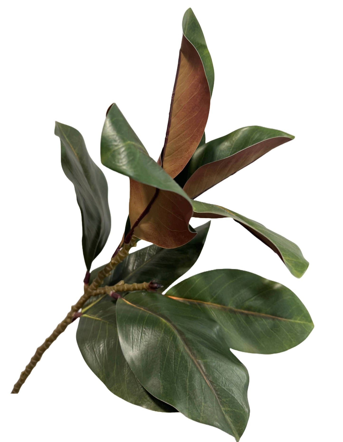 42" Elegant Extra Long Realistic Magnolia-17 Large leaves