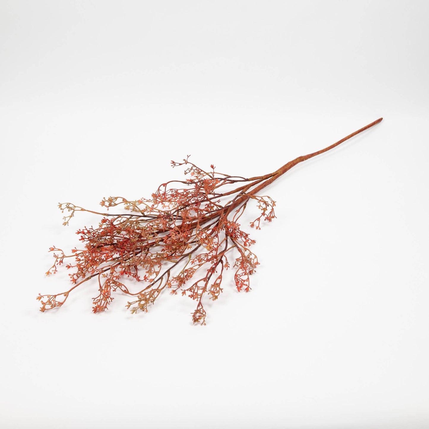 Rosa Caspia Stem - 35 Inch