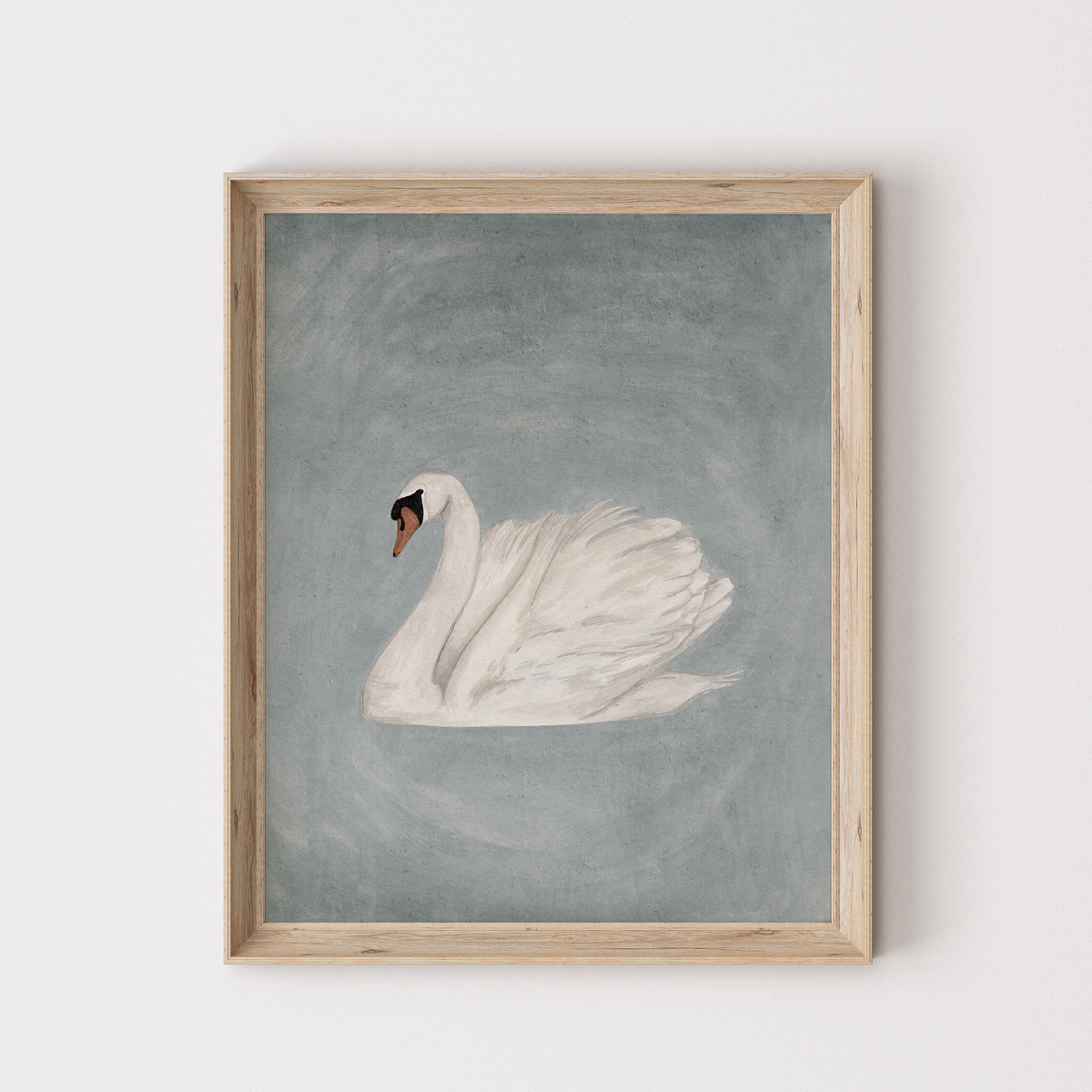 Swan