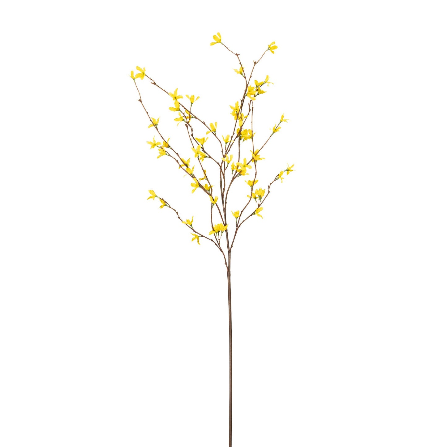 Yellow Forsythia Branch - 46 Inch