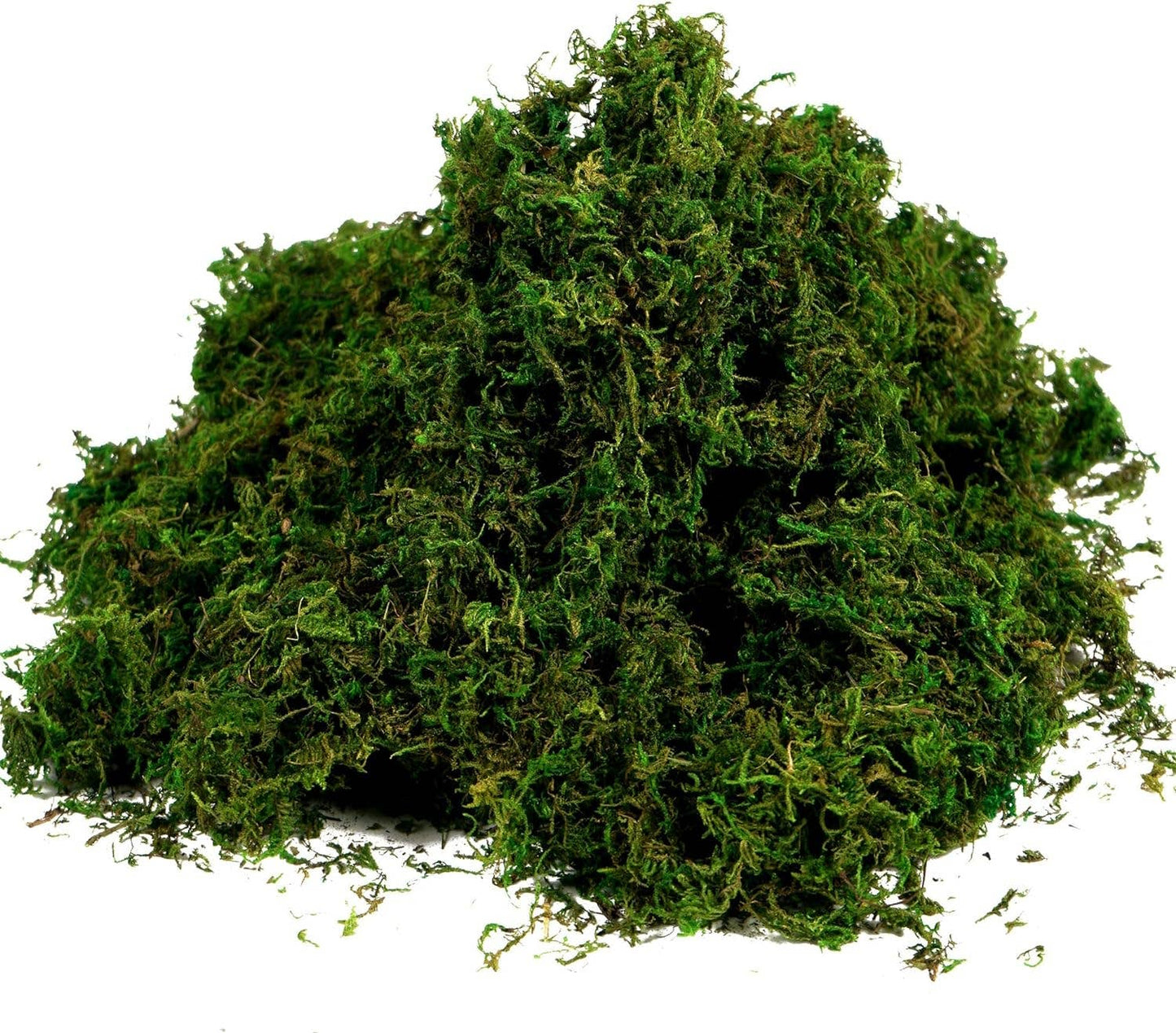 10oz or 1lb Bulk Pack-Naturally Preserved Green Moss