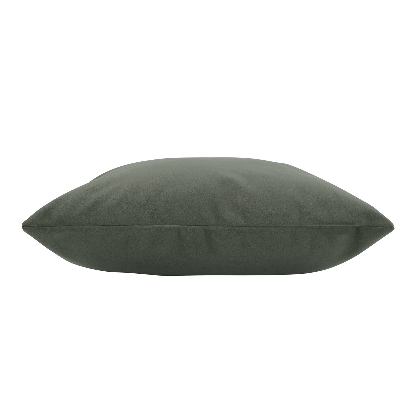 Philemon 20" Velvet Toss Pillow