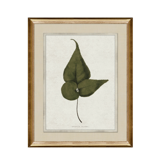 Pressed Botanical/Gold Frame C