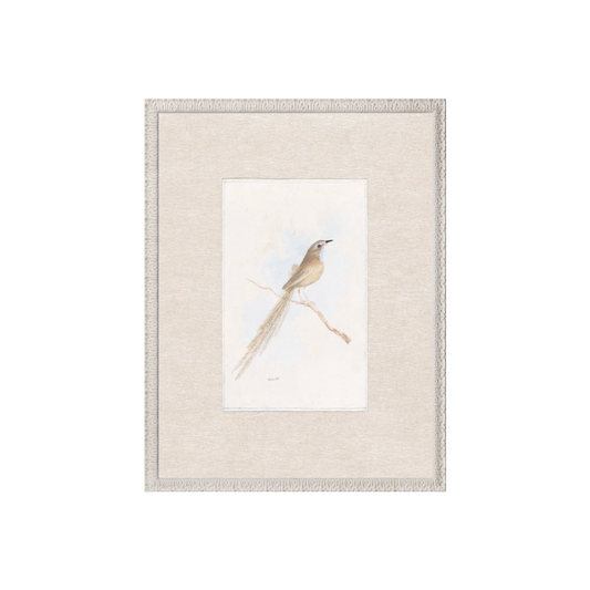 Collection 24 - Songbird C. 1847 - Small