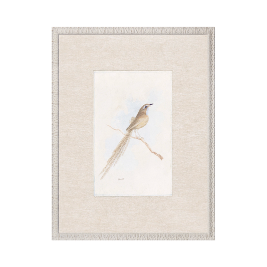 Collection 24 - Songbird C. 1847 - Small