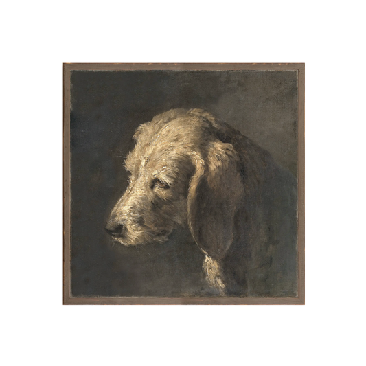 Northern Collection – Portrait C. 1845