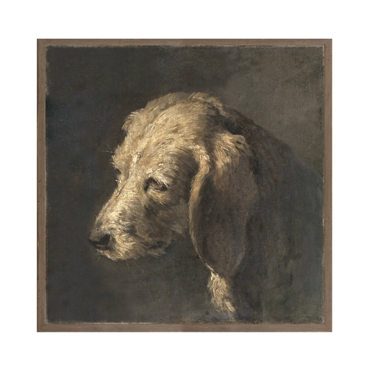 Northern Collection – Portrait C. 1845