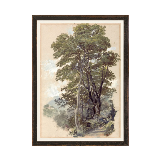Collection Vintage - Corpo Di Cava, 1839 - Large