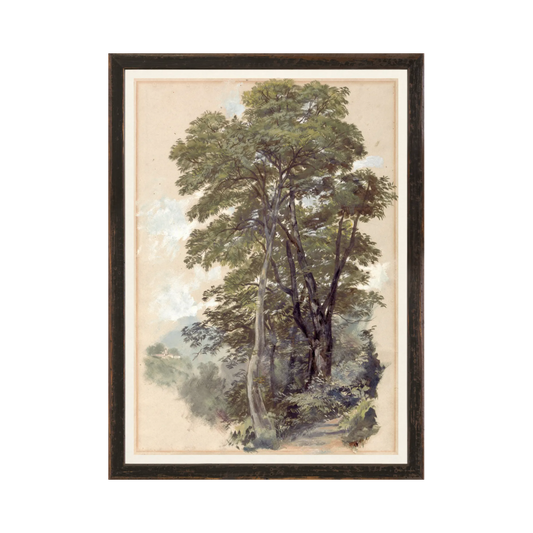 Collection Vintage - Corpo Di Cava, 1839 - Large
